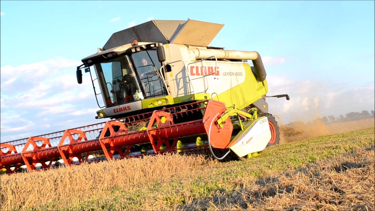Høst af hvede 2016 [Claas Lexion 600+New Holland CX8090]