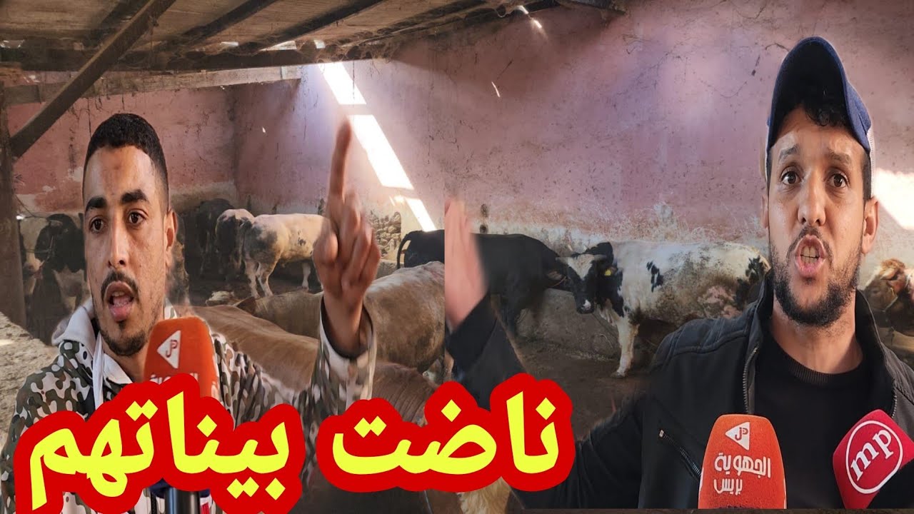بعد الغاء شعيرةالذب.ح للعيد 🔴 ناضت بين 2 جزارة ..واحد باغي يبيع ب 80dh و كيقول كيحاربوه 😢🚨