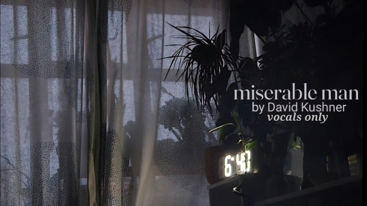 miserable man acapella/vocals only/no music (David Kushner)