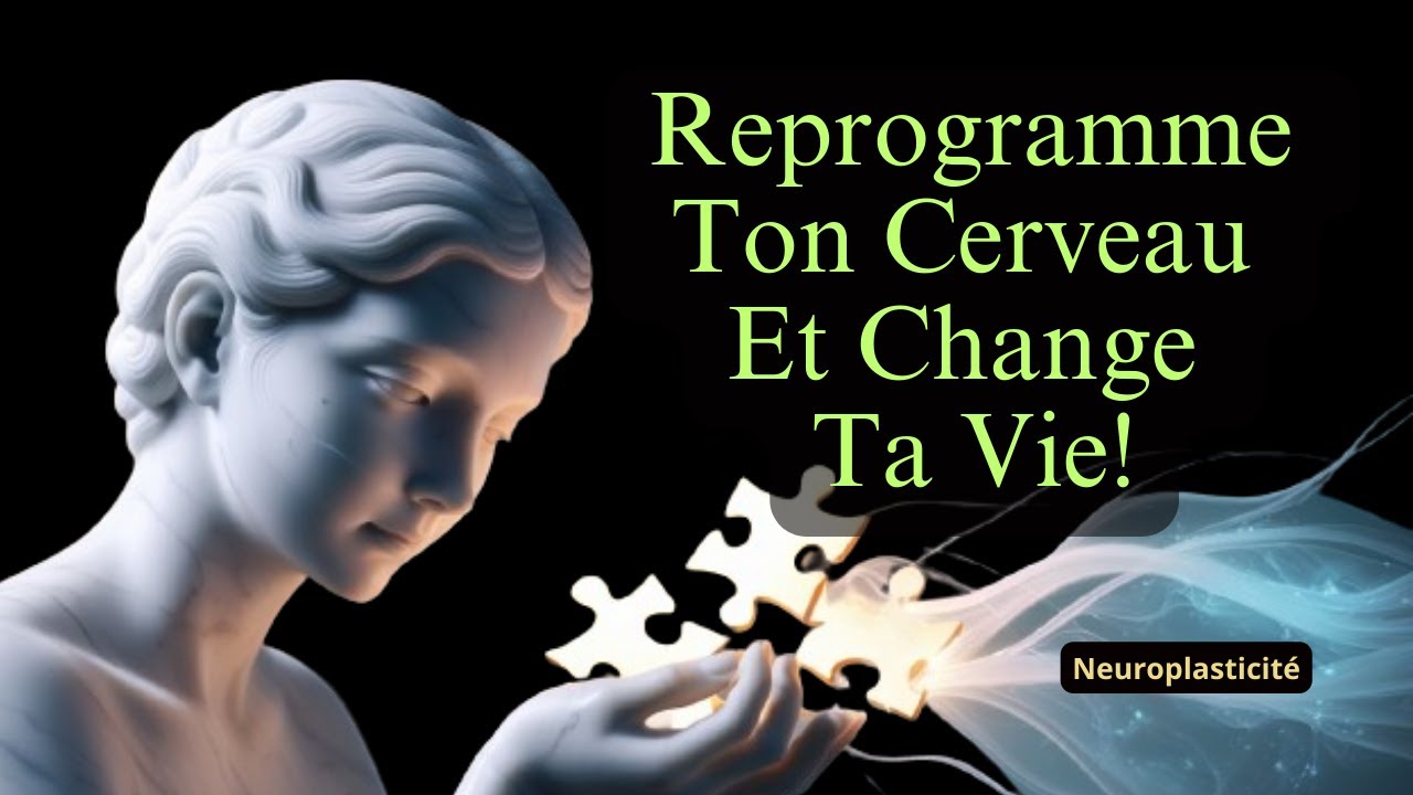 LIB&Egrave;RE-TOI DES MAUVAISES HABITUDES GR&Acirc;CE &Agrave; LA NEUROPLASTICIT&Eacute; ET AU STO&Iuml;CISME