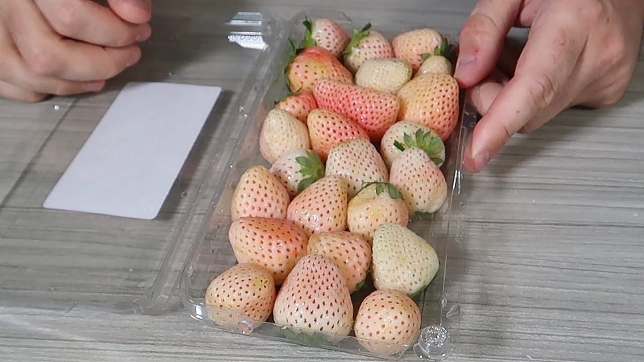 Дегустация ягод Pineberry