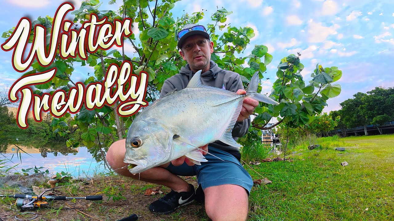 Chasing Winter Trevally on lures..... Some fish can't be stopped !!  | Gold Coast Fishing