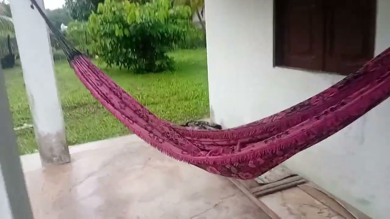 MUITA CHUVA NO NOSSO INTERIOR DO PARÁ 🌨❤️