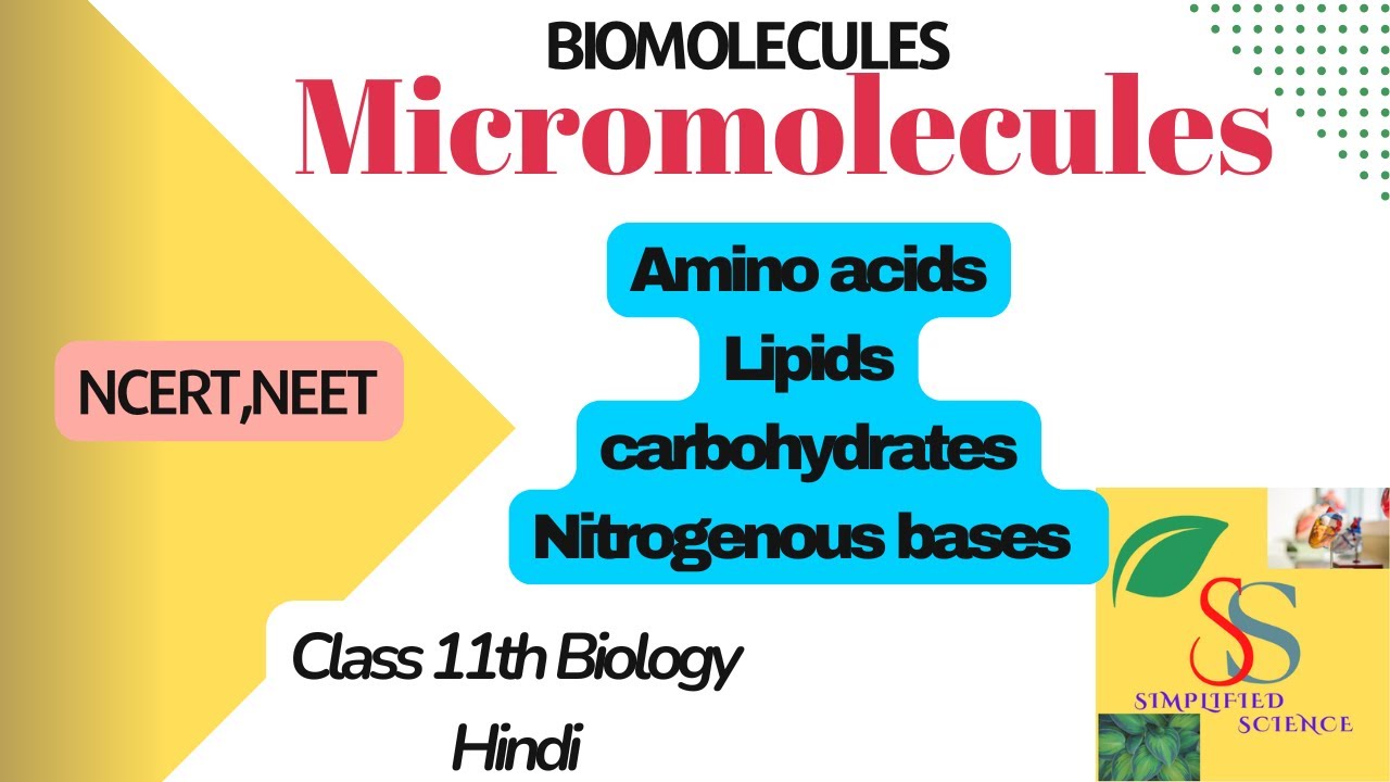 Micromolecules//Amino acids,lipids,carbohydrates,Nucleotides//BiomoleculesClass 11,NCERT ,NEET
