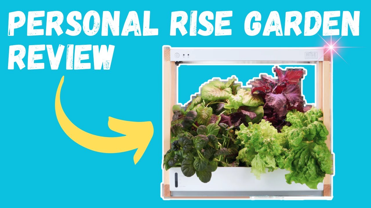 Reviewing my Personal Rise Garden after having it for 3 years | The Indoor Gardener