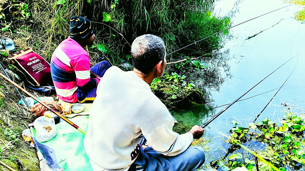নদীর থেকে প্রচুর পরিমাণ মাছ ধরা দেখুন#fishing নবদ্বীপ নদীয়া#fishing 
