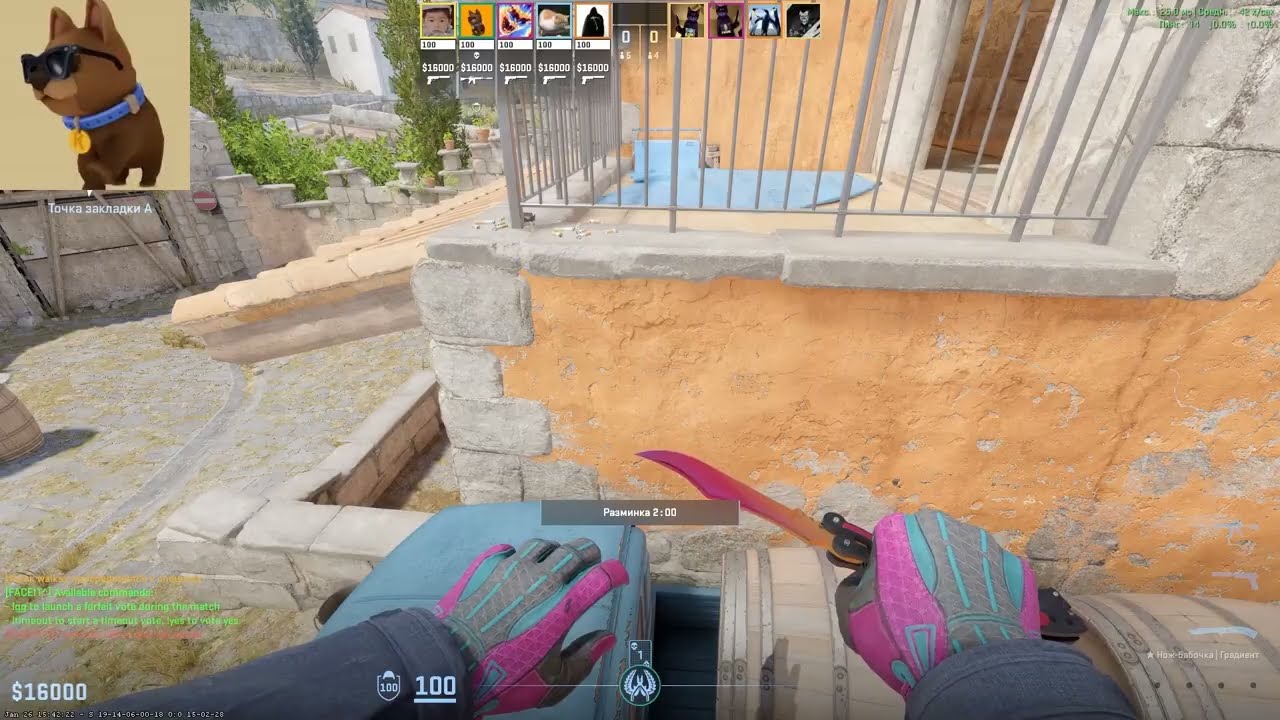 daniluch_1337 сказал что я...  (Domination on Faceit)