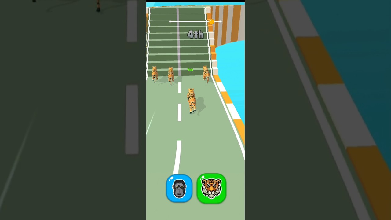 Animals racing lion 🦁