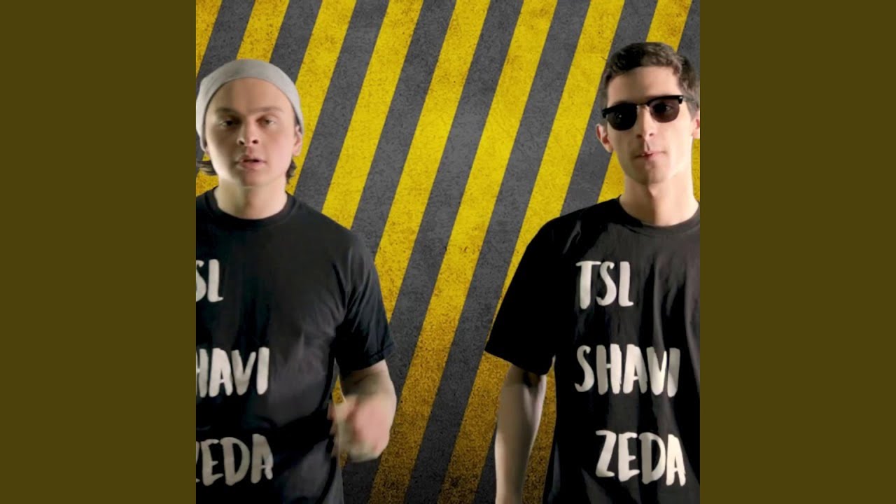 Tsl Shavi Zeda