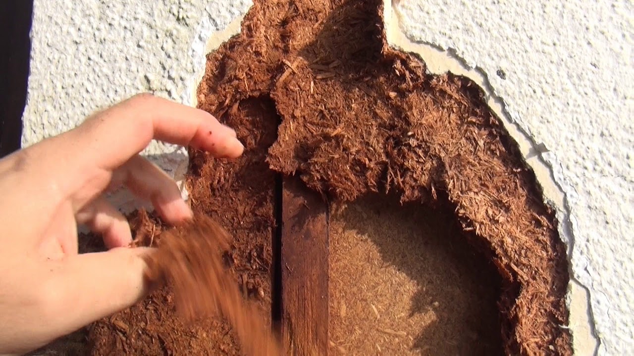 Fertighaus Schäden 1