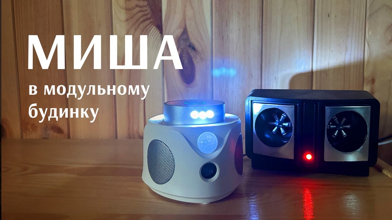 Миша в модульному будинку. Ультразвукові відлякувачі та гуманна мишоловка