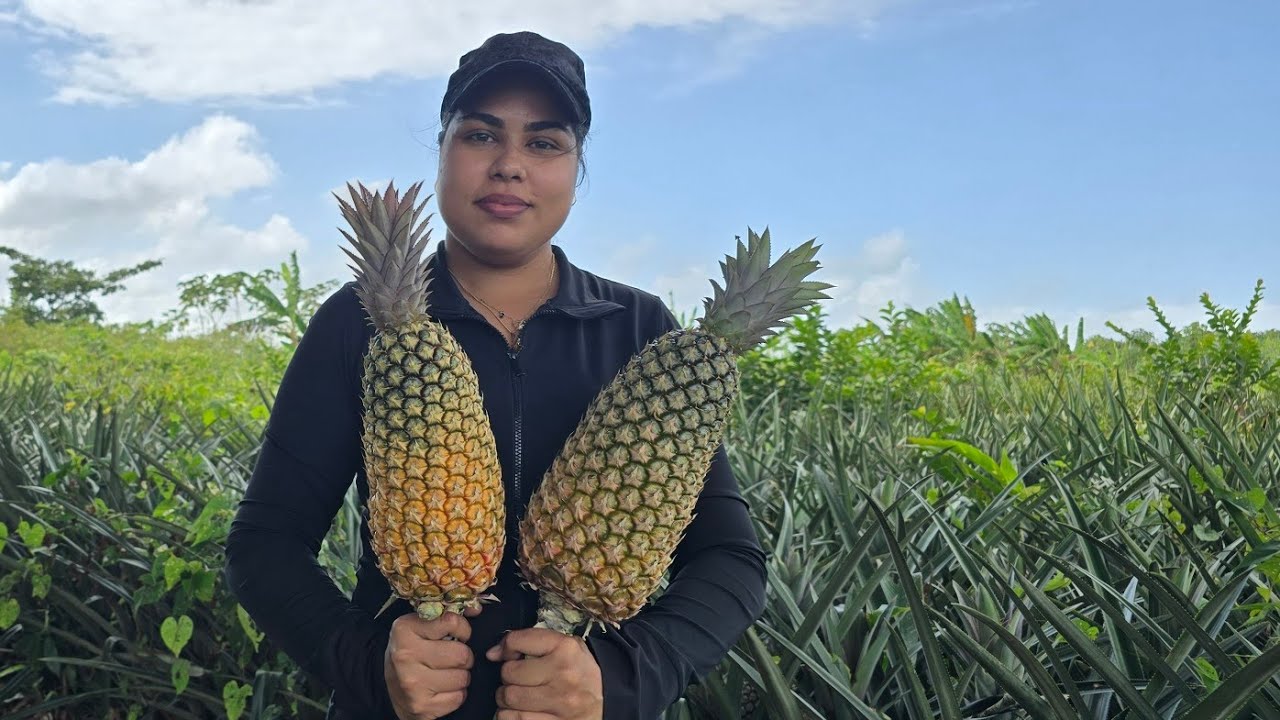 Ананасовая ферма