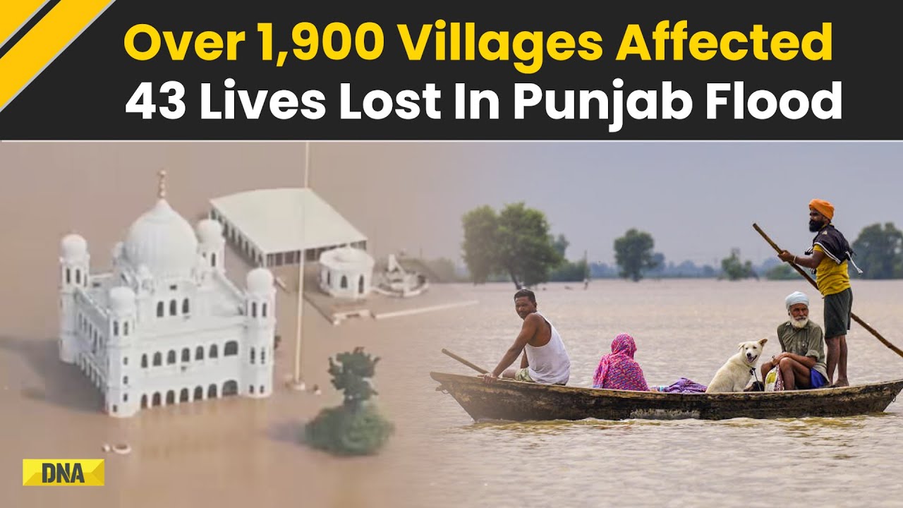 Punjab Flood: 1,900 Villages Submerged, 43 Dead | Worst Disaster For Punjab In Years