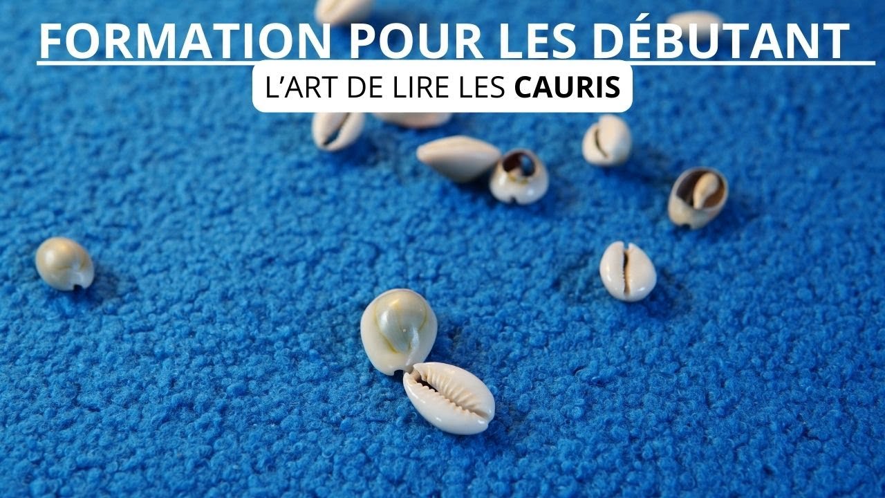 FORMATION À L'ART DES LIRE LES CAURIS