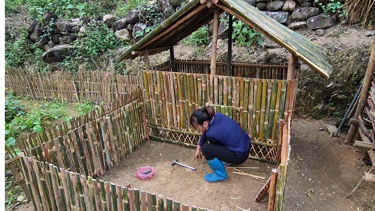 A woman living alone in an abandoned house built a chicken coop out of bamboo to raise her chickens.