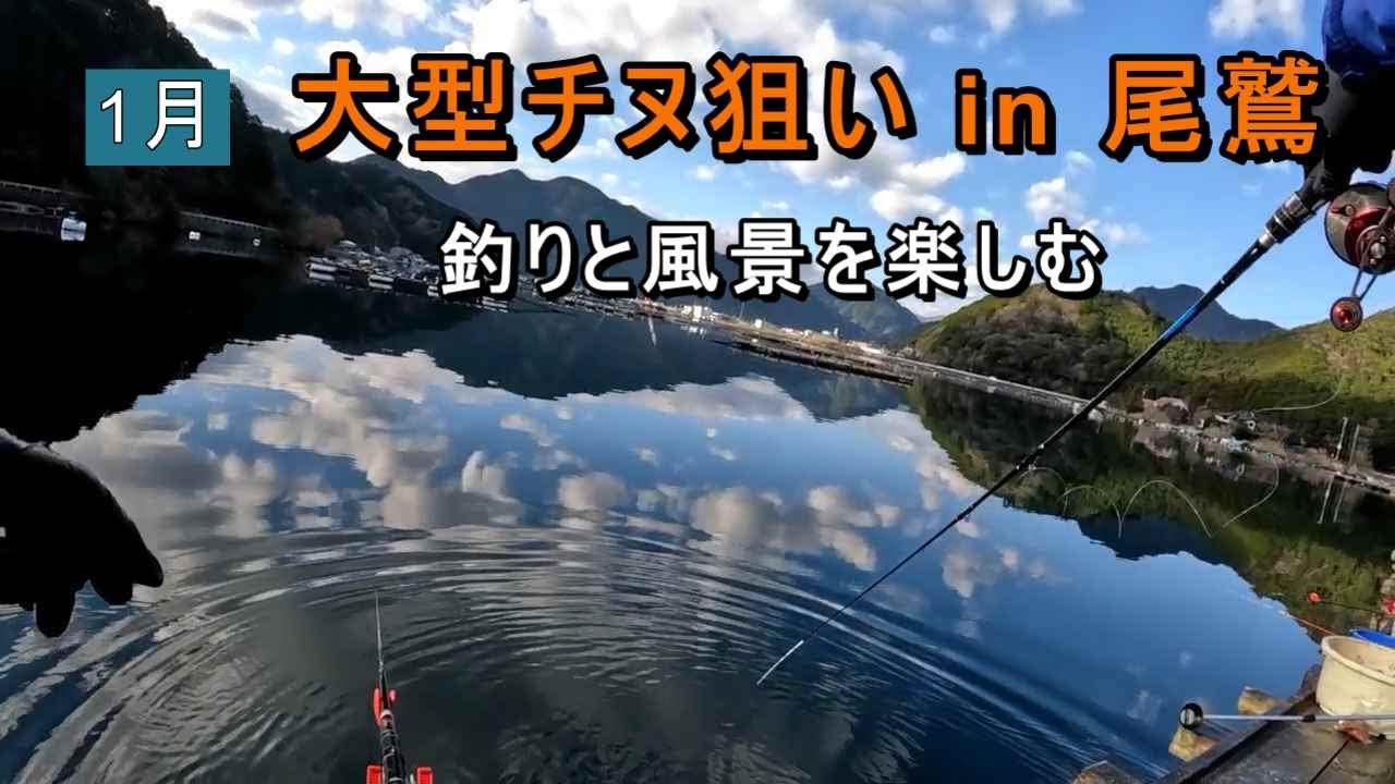 大型チヌ狙い in 尾鷲：本命低確率の釣りだからこその楽しみ【白石湖】
