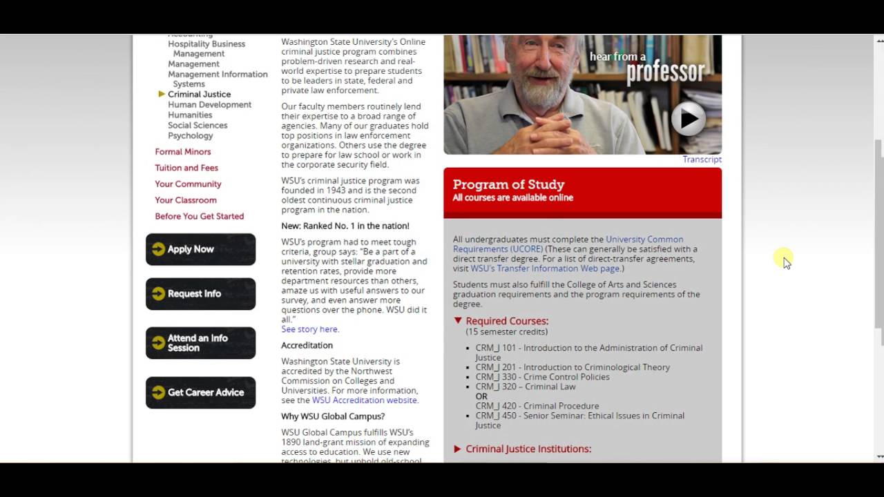 Online Criminal Justice Degree