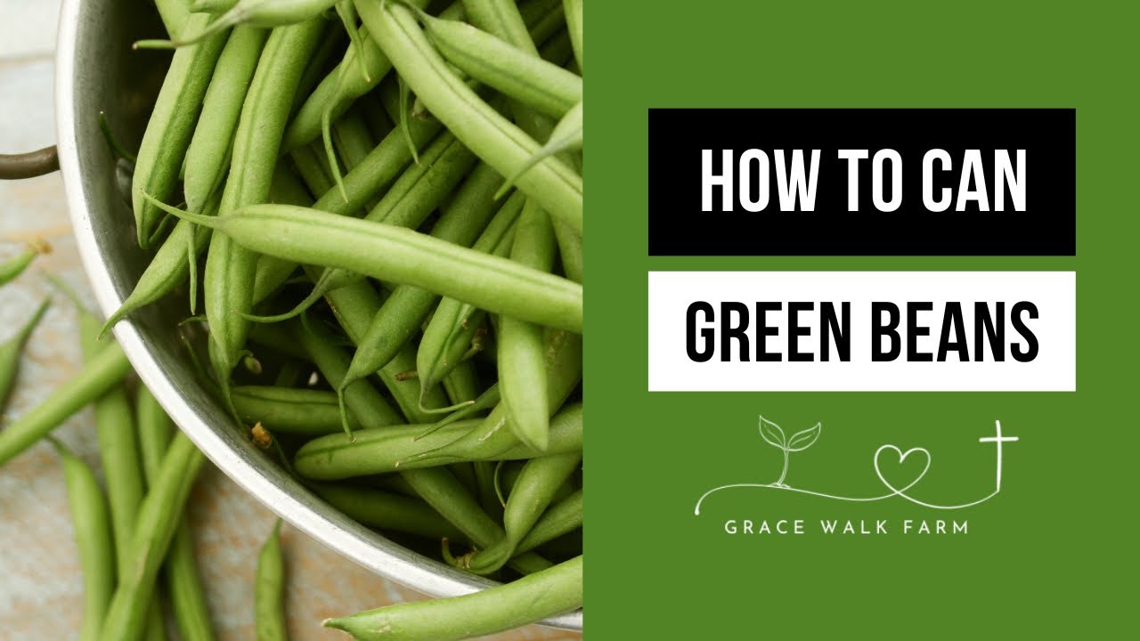 Pressure Canning Green Beans from the Garden