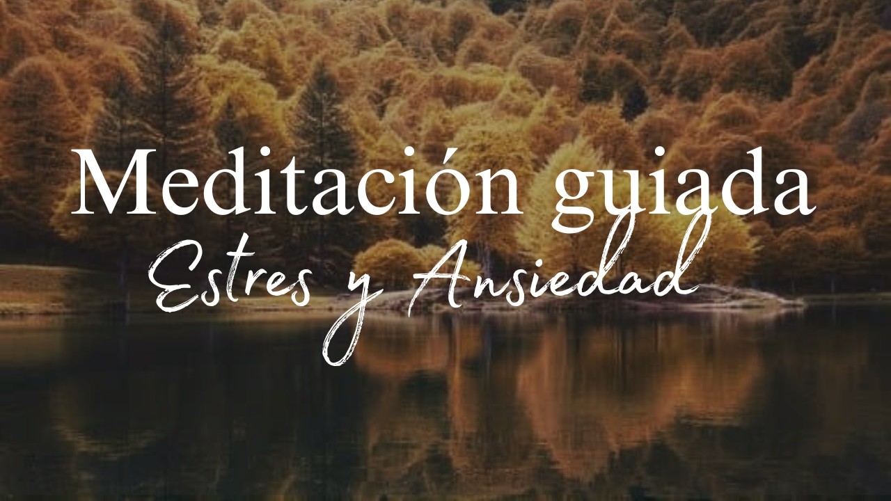 MEDITACION GUIADA- Para encontrar la calma y dejar ir el estres