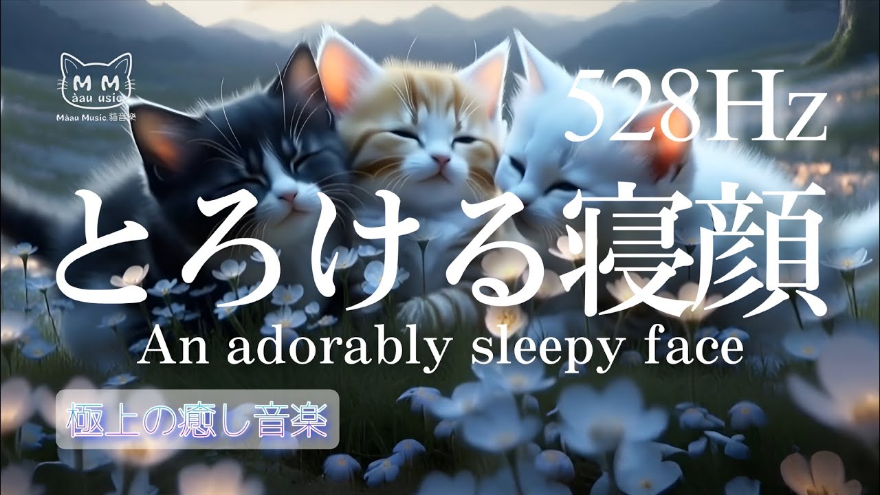 528Hz 【睡眠用BGM】とろける寝顔/猫動画、癒し、睡眠の質の向上、回復、リラクゼーション
