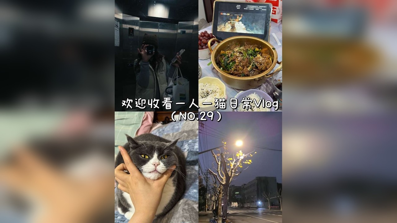 第29集｜volg29.欢迎收看一人一猫日常Vlog