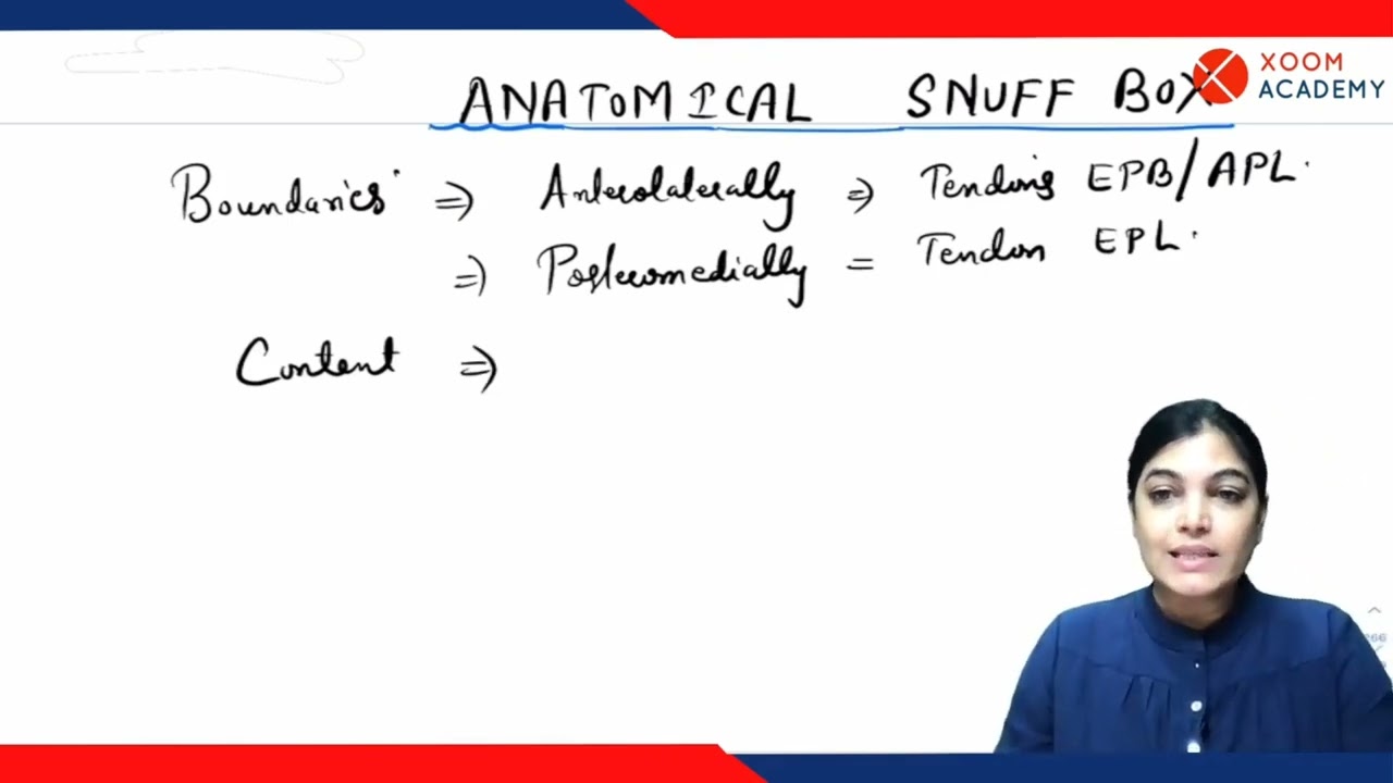 Anatomical Snuff Box - Human Anatomy Lecture - Xoom Academy