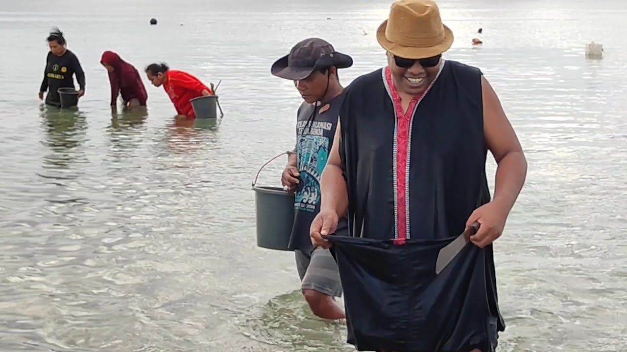 Jadi Pusat perhatian,! Warga Setempat Keheranan Ketika Turis Ini Ikut Berburu Kerang,.