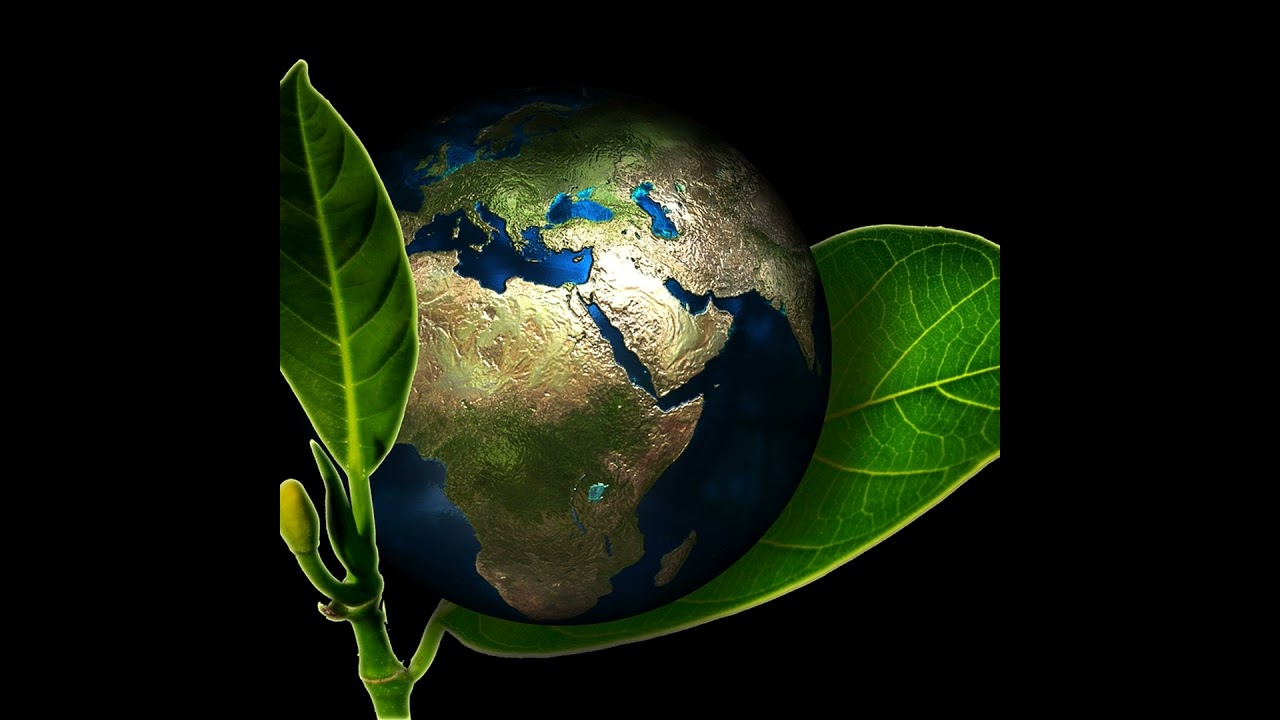 What is the ecological impact of the Ukrainian and Iranian wars? #infopod #newsplus