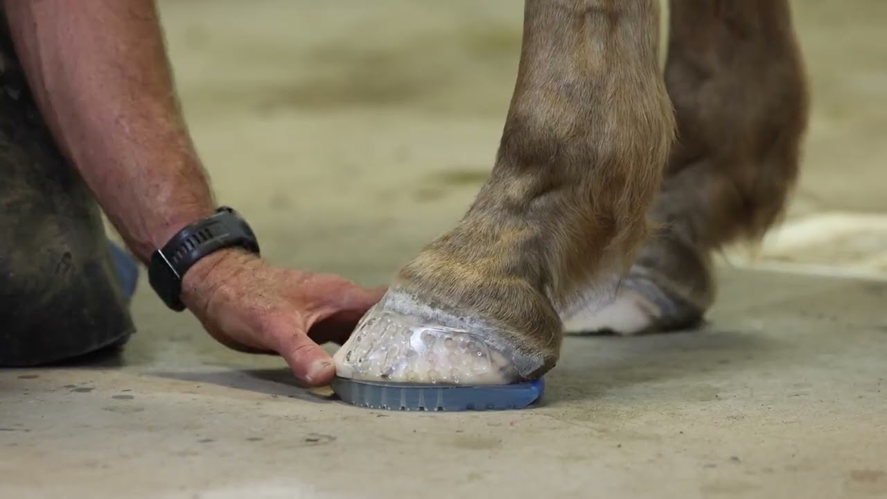 How to Secure the Shoe Before Gluing