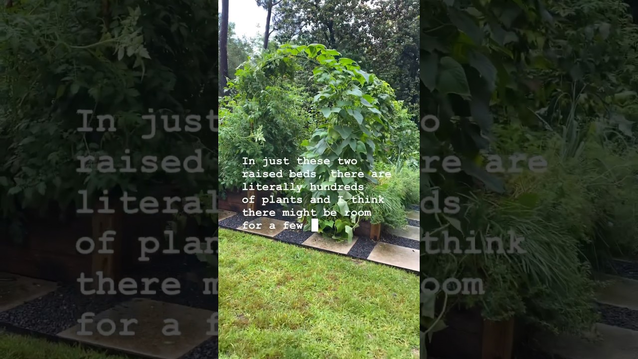 Check Out What&rsquo;s Growing In This Huge Kitchen Garden #gardenary #kitchengarden #gardeningseason