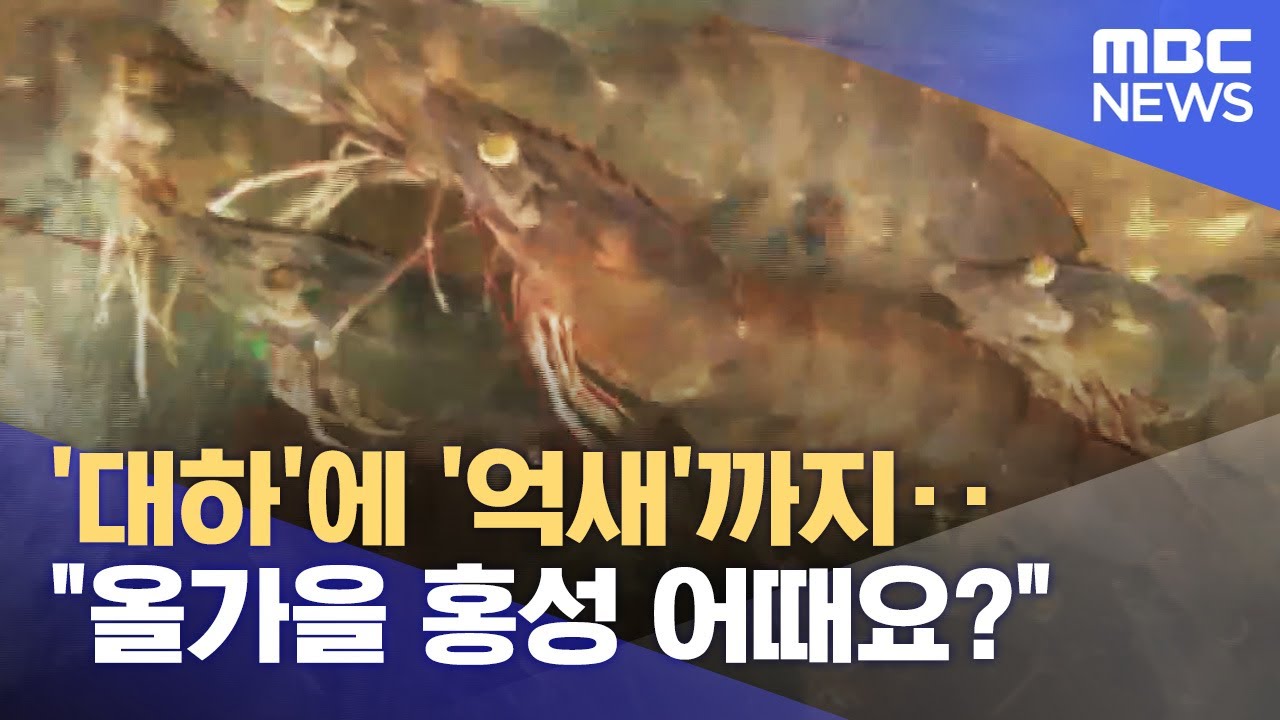 '대하'에 '억새'까지‥ 