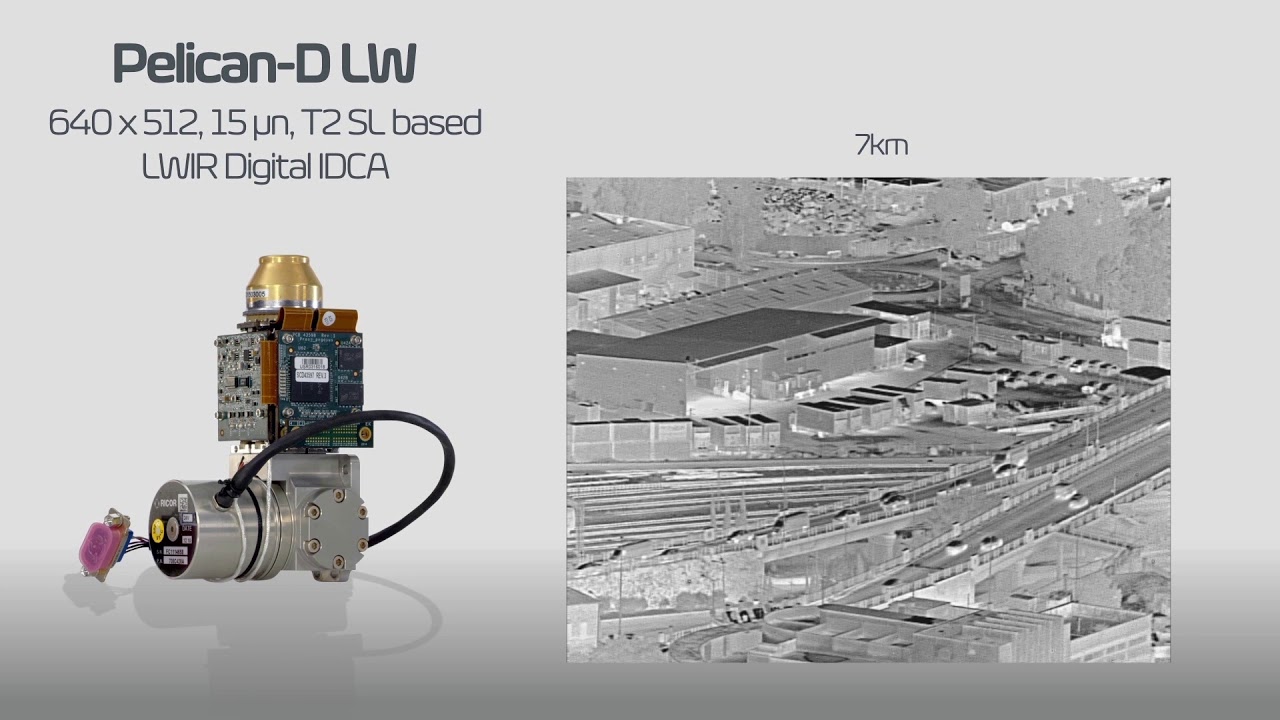 Pelican D LW withSound