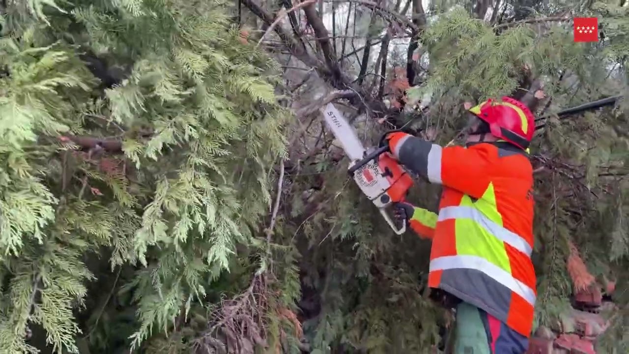 Efectos del viento en la Comunidad de Madrid. 