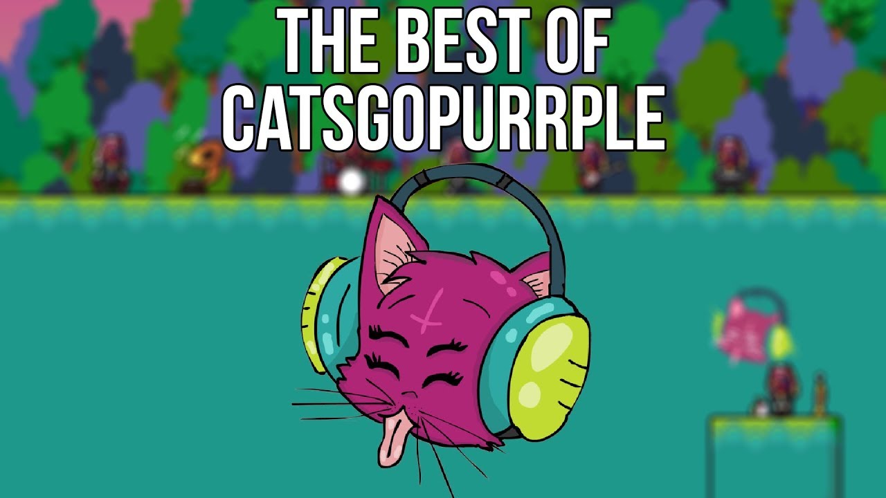The Best of CatsGoPurrple