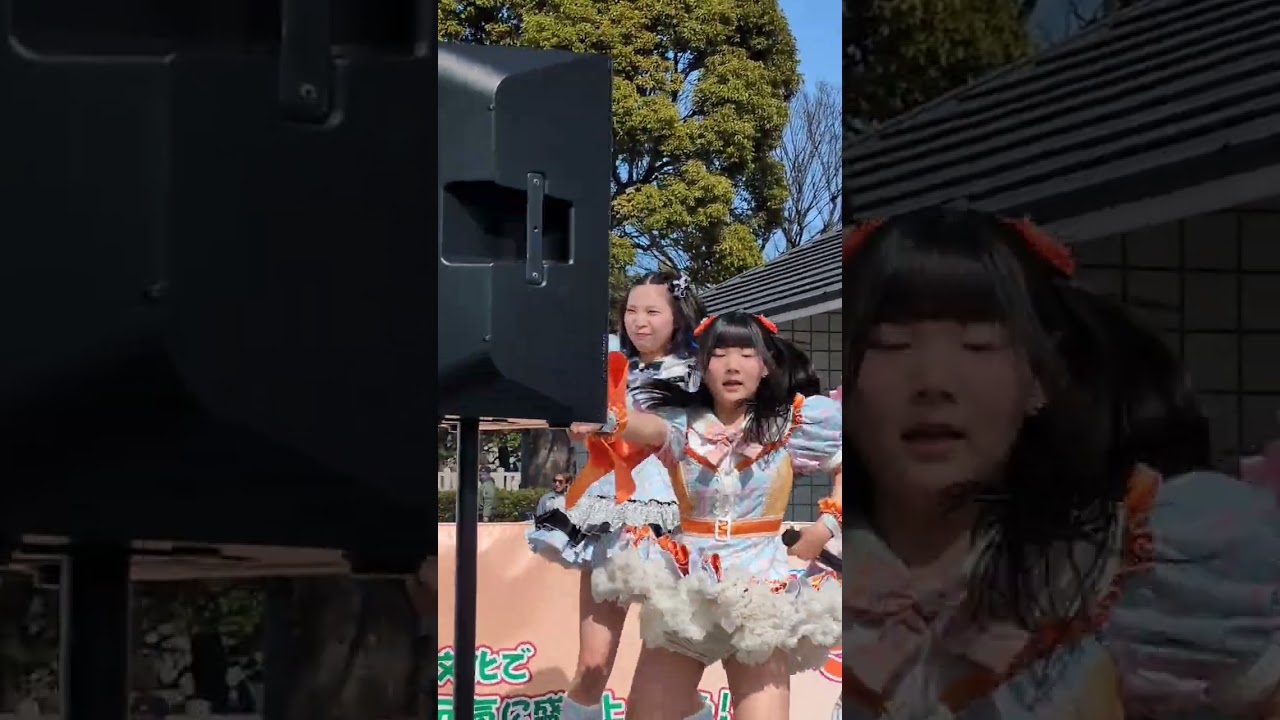シンセカイヒーロー『シンセカイヒーロー』結城めありさん メインカメラ2026.3.1＃結城めあり#シンセカイヒーロー#ひめじSubかるフェスティバル2026