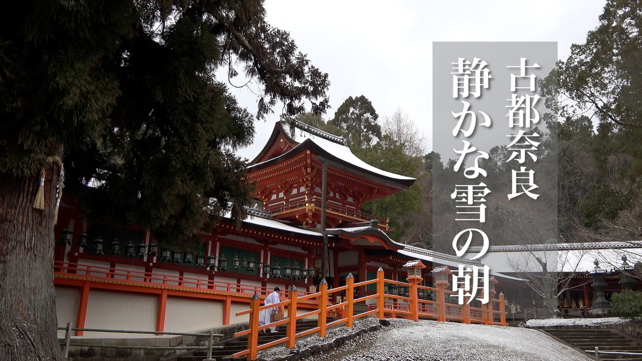 古都奈良の静かな雪の朝　2月8日　奈良公園　春日大社　奈良市
