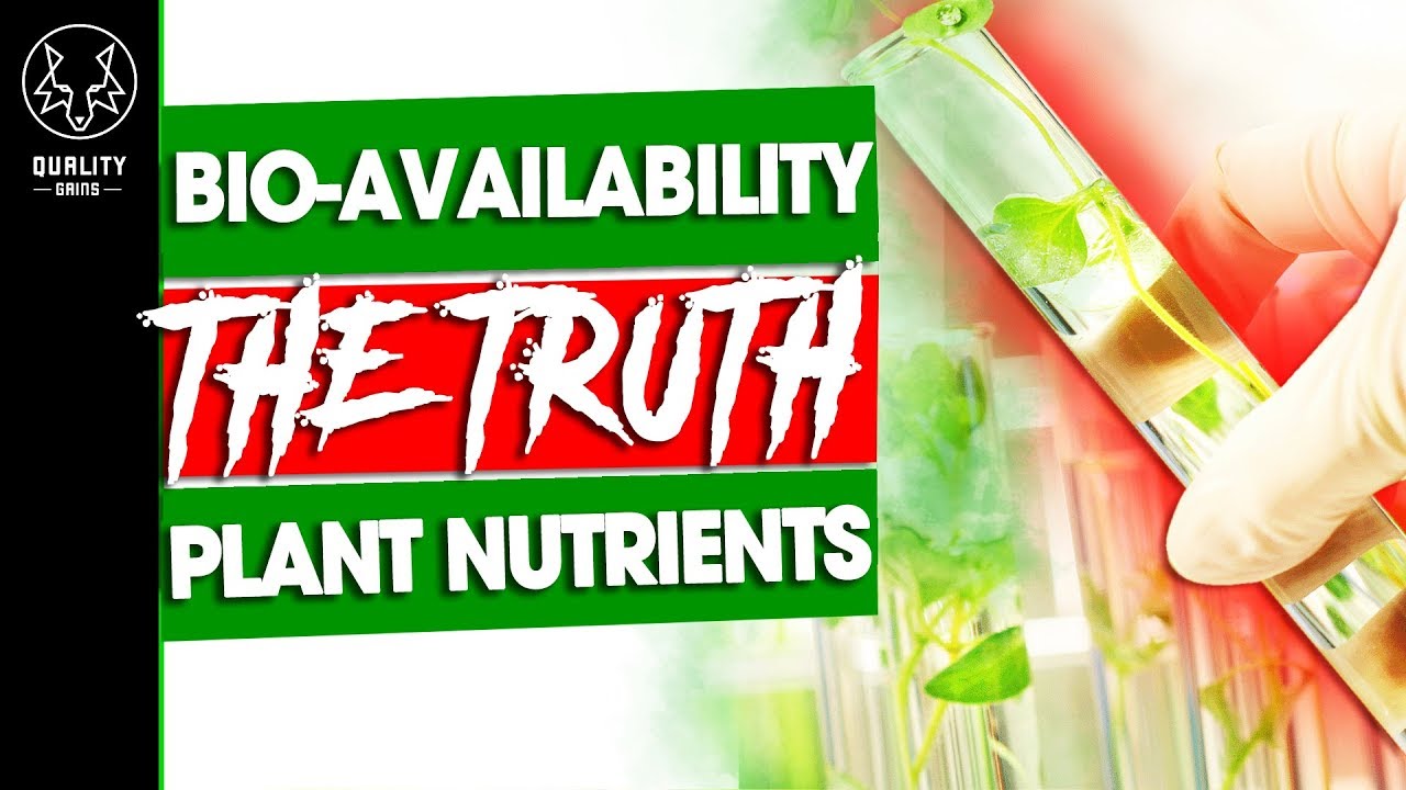 The Truth About Bioavailability - The REAL Nutrients In Plants