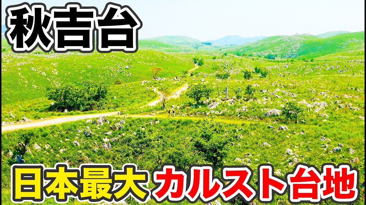 【山口県】見渡す限りの草原 秋吉台を観光してきた【1905ハワイ15】秋吉洞→新山口駅 5/23-102