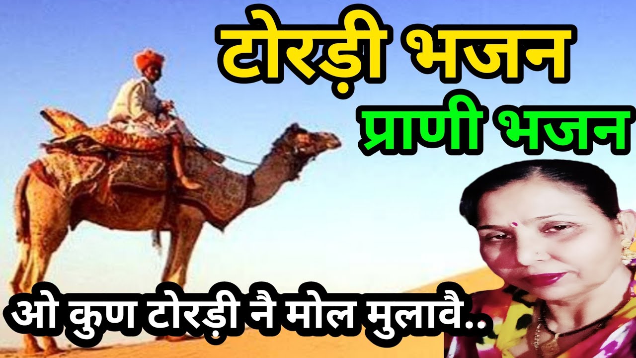 ओ कुण टोरड़ी नै मोल मुलावै(818) प्राणी के पीछे गाया जाने वाला टोरड़ी भजन/सरोज चौधरी के भजन और...