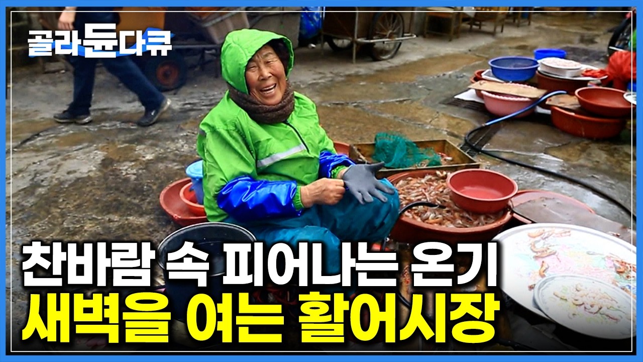 차디찬 겨울 칼바람에도 따뜻한 인심에 마음 뜨끈해지는 곳. 새벽을 여는 활어시장의 하루｜40년 세월 한결같이 자리를 지킨 할머니｜통영 서호시장｜한국기행｜#골라듄다큐
