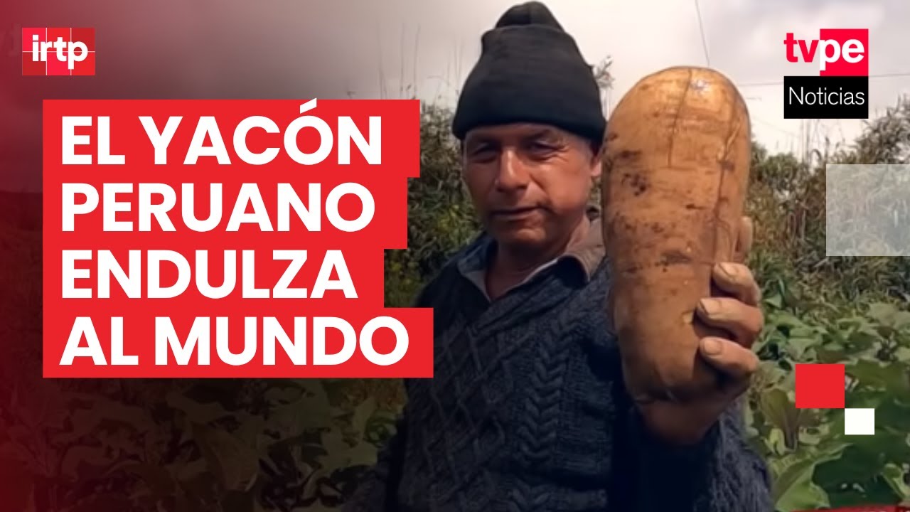 Yacón peruano endulza al mundo de manera saludable | “Mercado peruano”