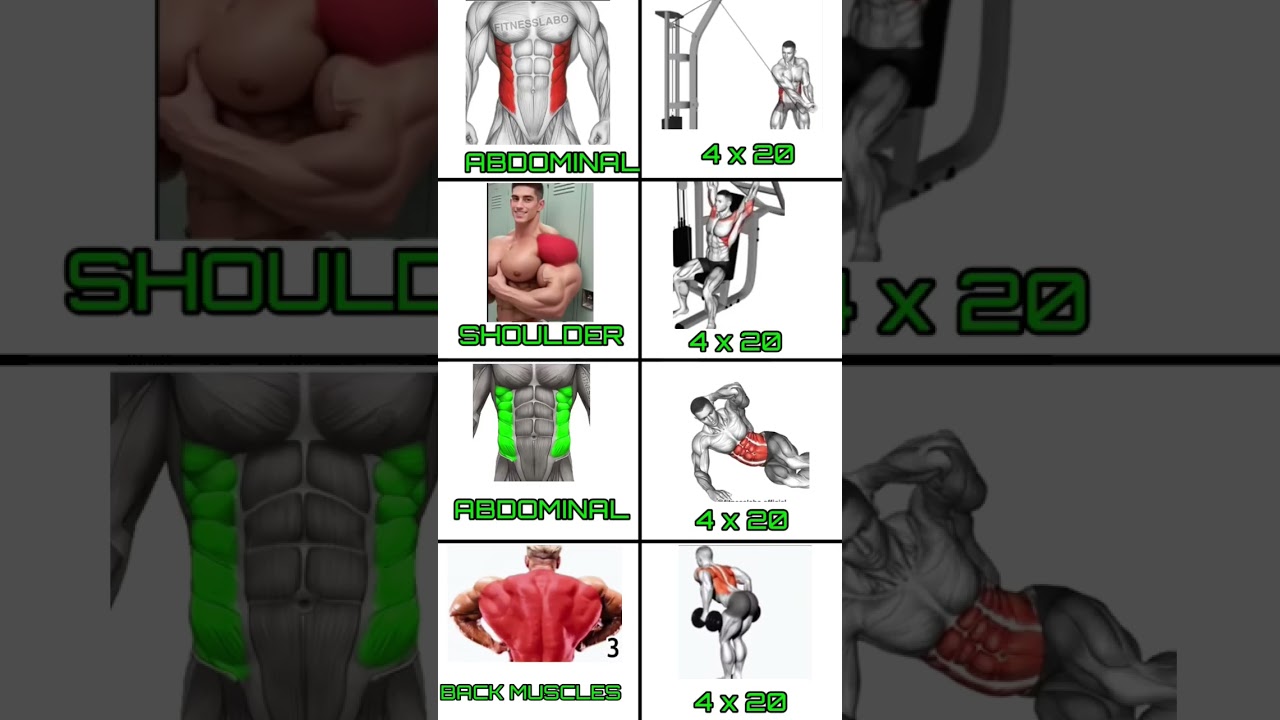 Abdominal+Shoulder+Abdominal+back muscles workout abdominal #clistenia #gymworkout