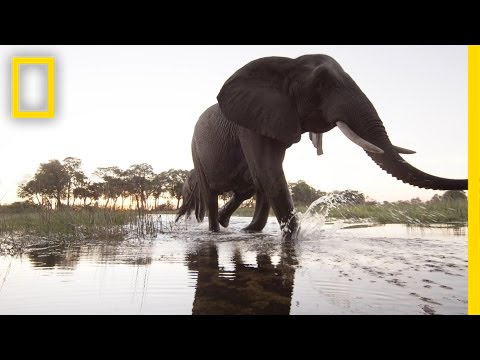 Using Science, Exploration, and Storytelling to Change the World in 2015 | National Geographic