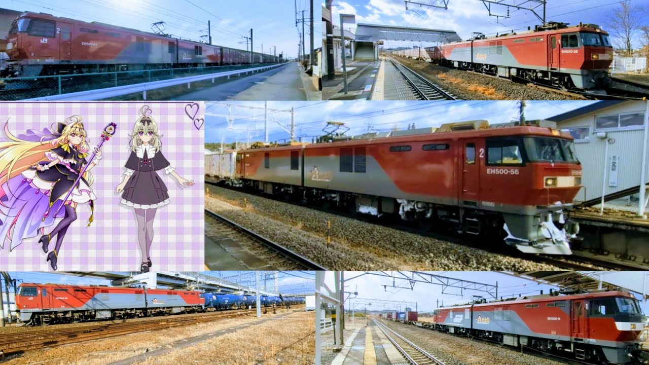 ２０２６年  １月中旬　貨物列車 ６本 　※  1⁄14  (水) ・ 1⁄15  (木)