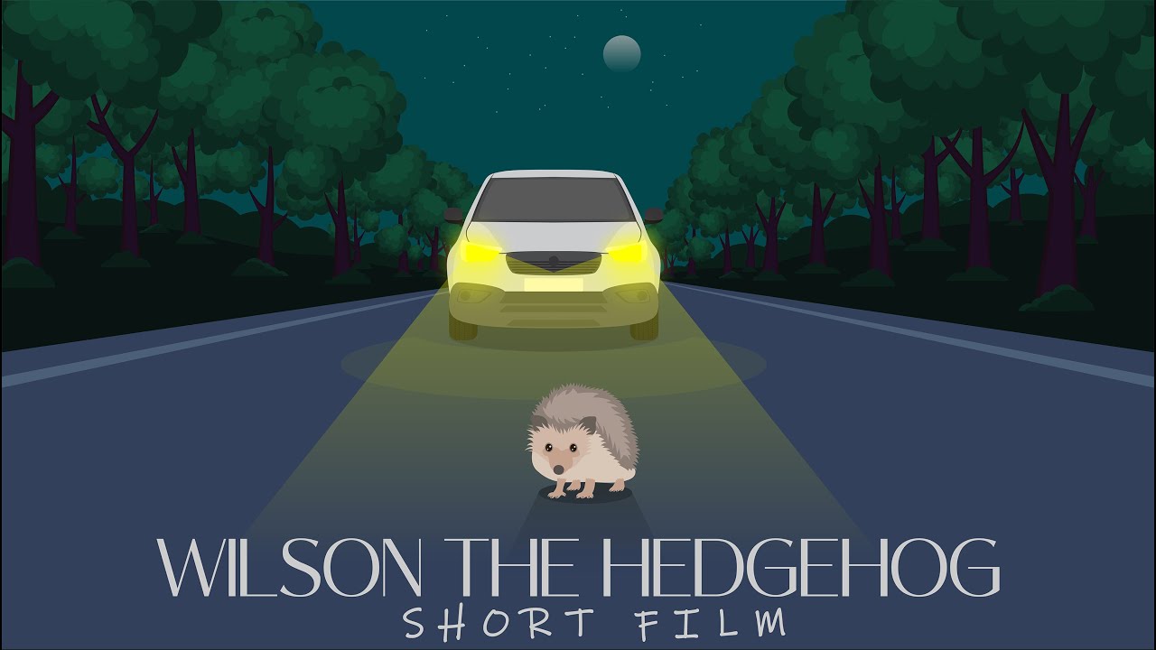 WILSON THE HEDGEHOG | Short Film