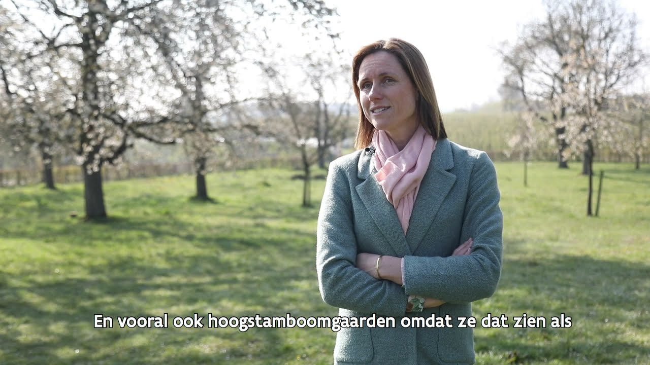 Hoogstamboomgaarden - Regionaal Landschap