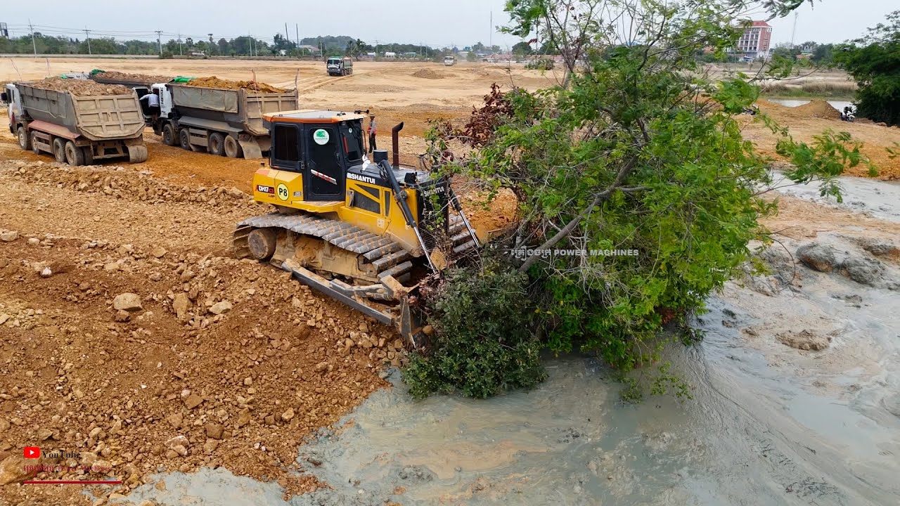 Wonderful Complete Big Pond With Dozer SHANTUI Filling Clear Woody And Have a Muddy Outside
