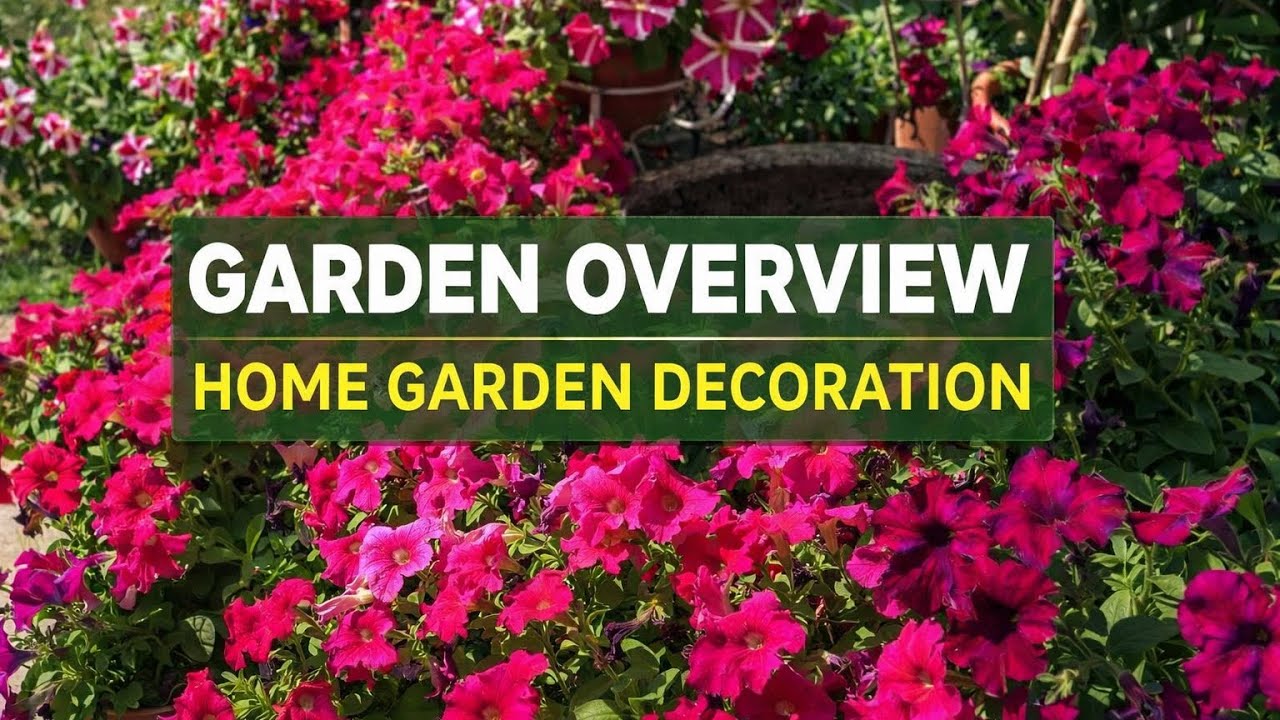 Garden overview home garden decoration ideas…how to beautify your garden #trending #garden 