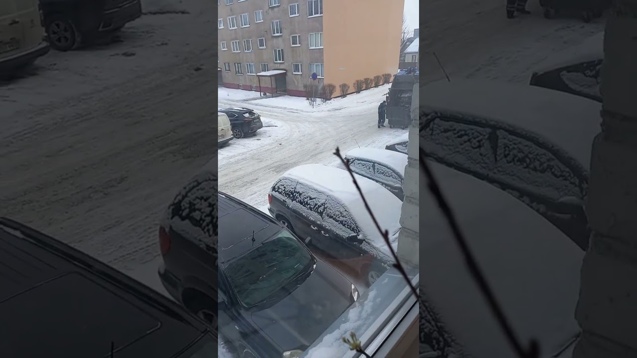 6 февраля 2026 г.мусорки в эстонии
