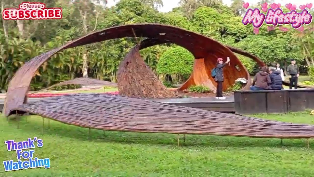 Fantastic place nature shillin #viral #garden #beautiful #flowers 